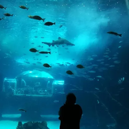 Appartement Canteras Aquarium *