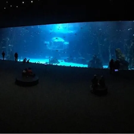 Apartment Canteras Aquarium *