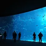 Canteras Aquarium * Las Palmas de Gran Canaria