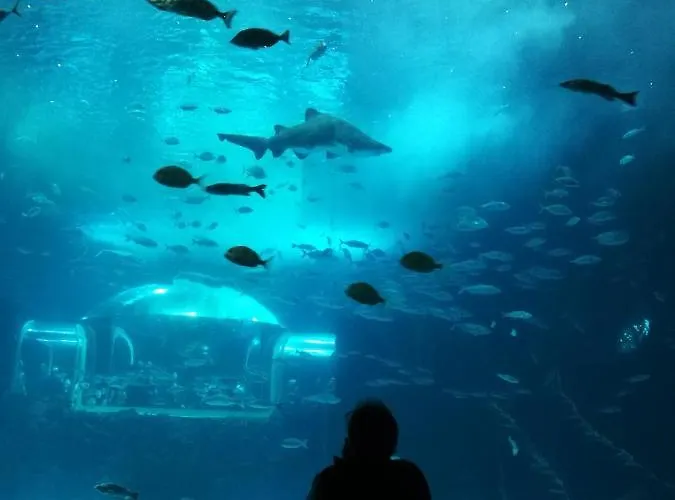 Apartamento Canteras Aquarium *