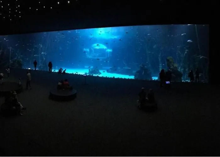 Apartamento Canteras Aquarium *